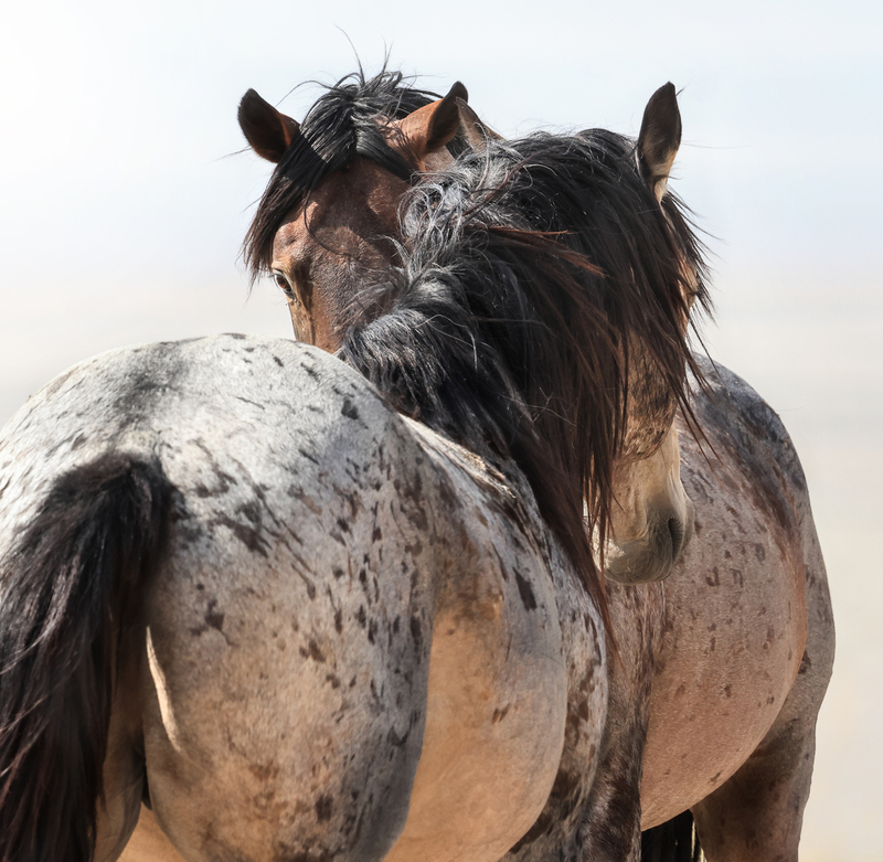 7B3A688611crop.jpg