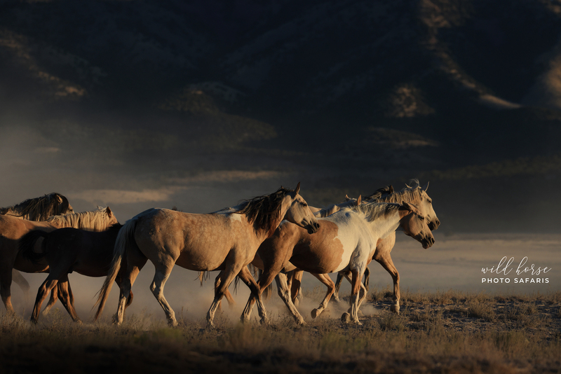 7B3A7818.jpg 7B3A7818.jpg