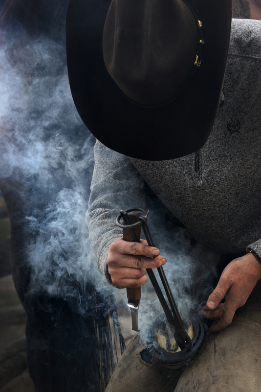 7B3A93412.jpg 7B3A93412.jpg