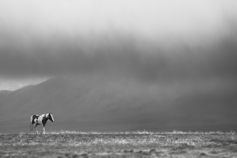 AK3A0364bwLucas.jpg