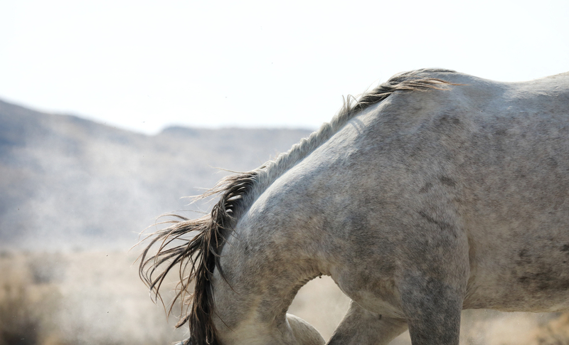 AK3A6823cropped.jpg
