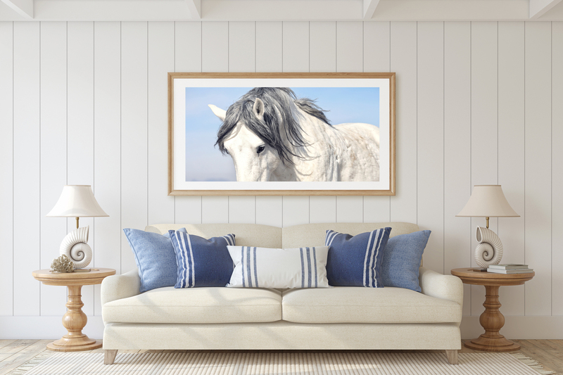 Maverick.jpg :: Wild Horse Fine Art