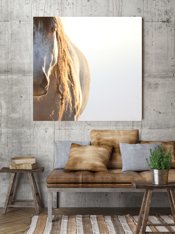 Painted In Light.jpg