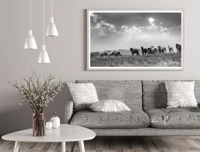 Storms and Stampedes.jpg