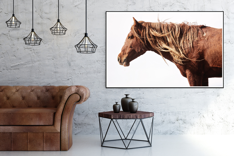 Surfer Dude.jpg :: Contemporary living room interior with seat, coffee table and empty billboard on wall. Mock up, 3D Rendering