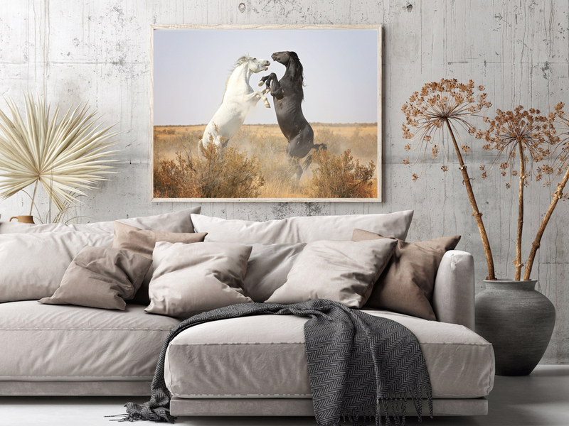 The Dual.jpg :: Custom create the perfect finishing touch for your home or office with an exquisite, iconic piece of art shot locally among the wild mustangs of the west.  Bringing both a sense of sophistication and freedom to any room your new artwork will be a highlight piece of decor for years to come.