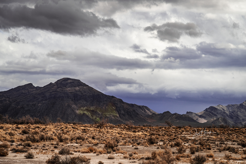 Ash Meadows Amargosa Valley.jpg