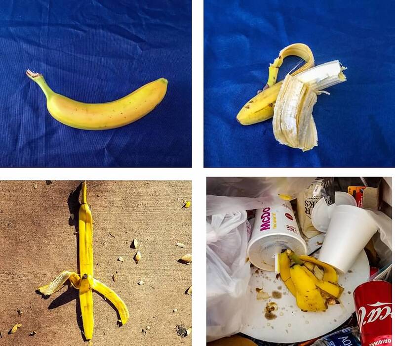 Banana Quadtych.jpg