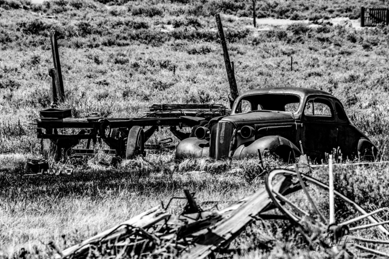 Bodie Black And White 2.jpg