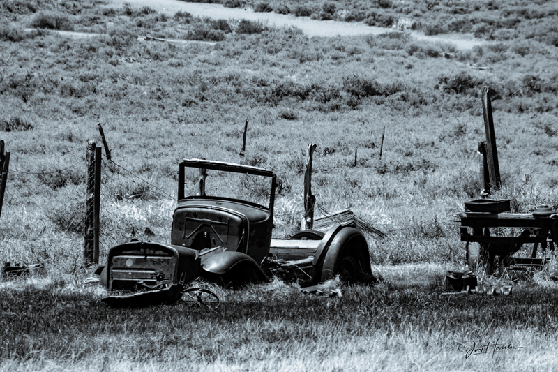 Bodie Black And White 3.jpg