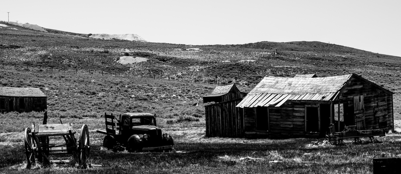 Bodie Black And White 5.jpg