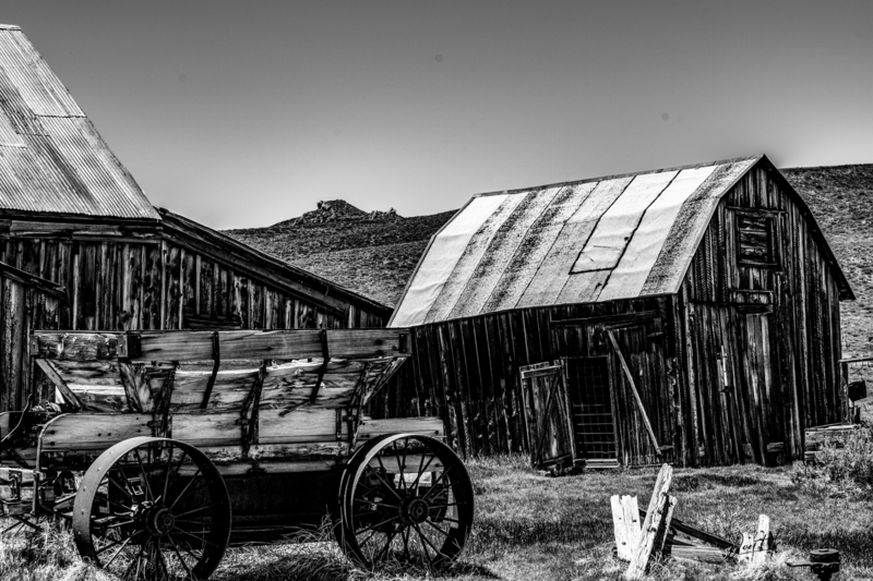 Bodie Black And White.jpg :: https://www.etsy.com/listing/811719185/bodie-black-and-white