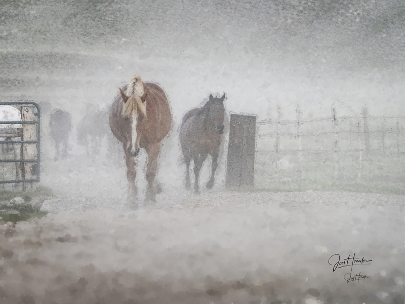 Early Morning Roundup (Manipulated).jpg