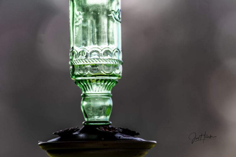 Hummingbird Feeder.jpg