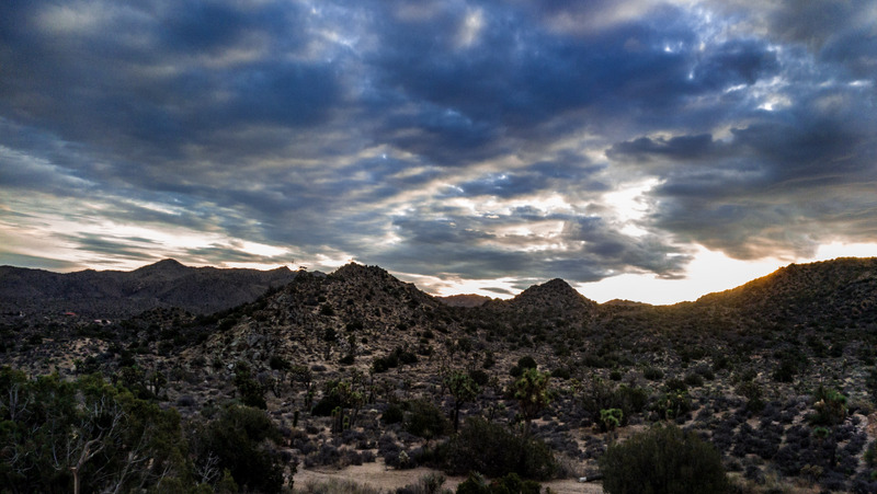 Joshua Tree Sunset.jpg :: this is from oplus camera