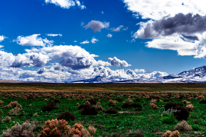 Onaqui Meadow 1.jpg