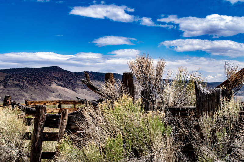 Red Rock Corral.jpg