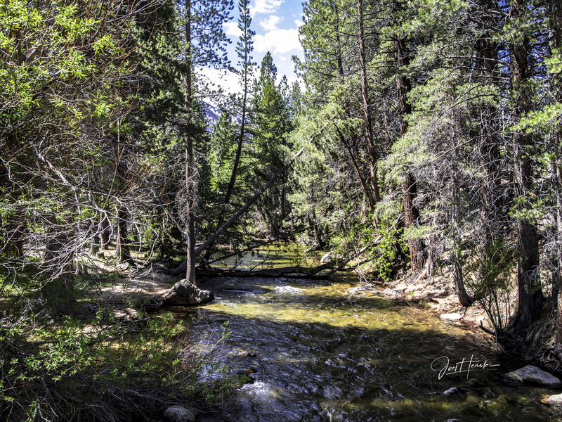Robinson Creek 25.jpg