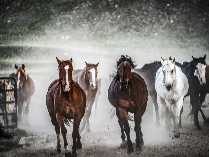 Roundup Morning 25(1).jpg