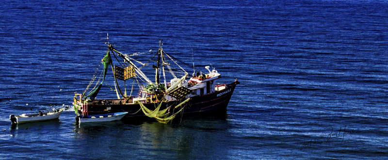 Shrimp Boat Out.jpg
