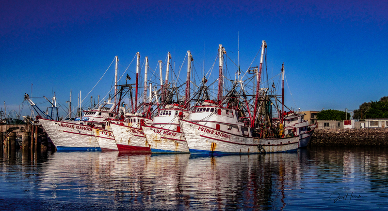 Shrimp Boats.jpg