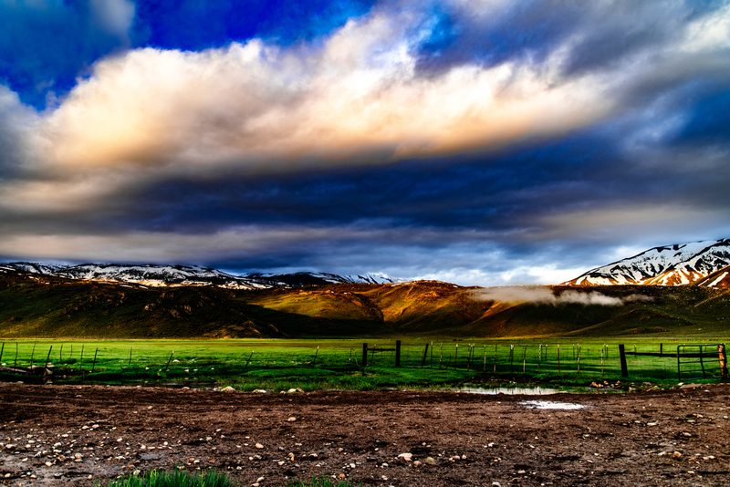 Spring Morning At The Ranch.jpg