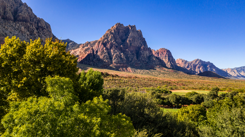 Spring Mountain Ranch NV.jpg