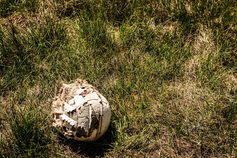 Wilson (1).jpg