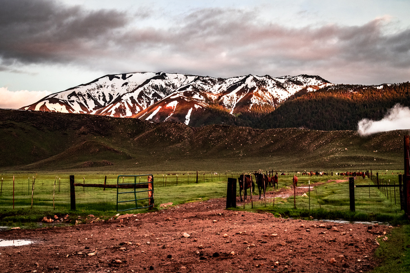 early roundup-3.jpg