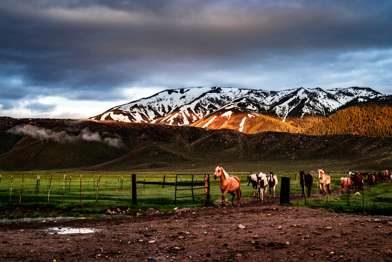 early roundup-4.jpg