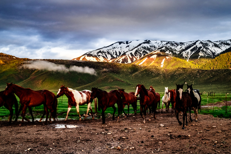 early roundup-5.jpg