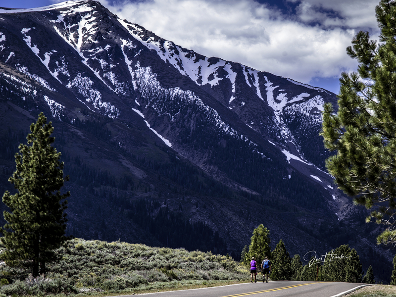 morning eastern sierra walk(1).jpg