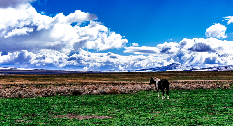 onaqui landscape 2.jpg