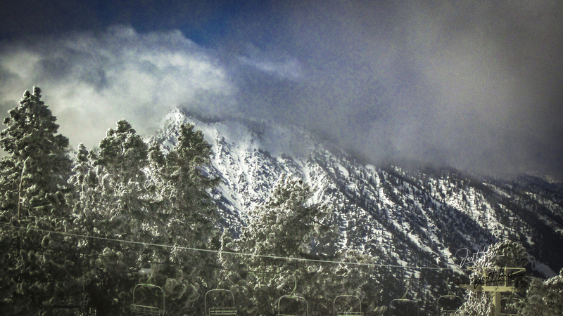 snow 2010.jpg