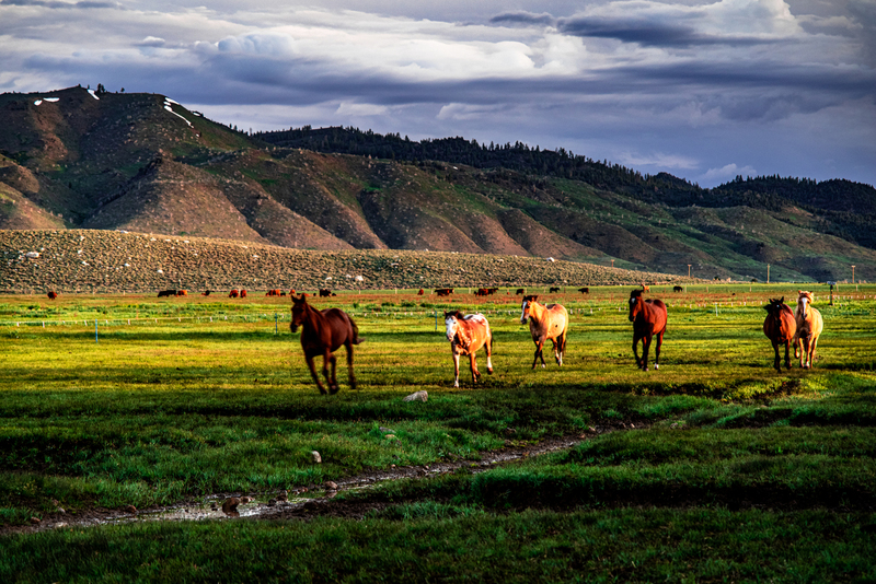 spring morning roundup 4.jpg