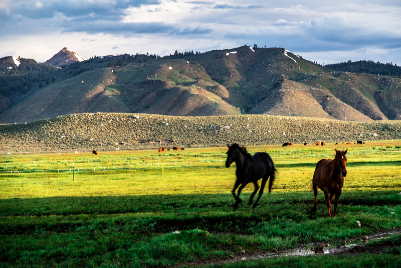 spring morning roundup 7.jpg
