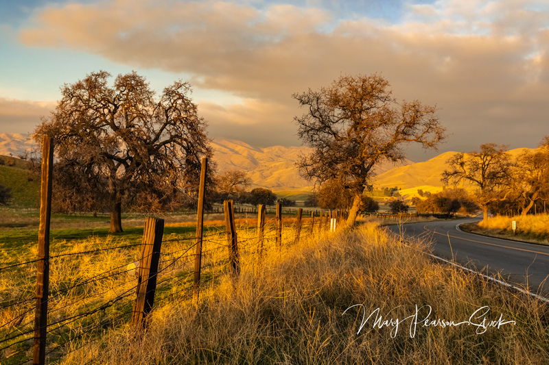 Autumn Afternoon Caliente California USA  MPS-SJV-1014(1).jpg