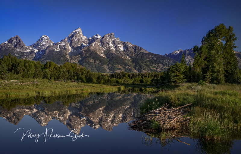 Beaver Lodge Schwabachers Landing GTNP USA  MPS-GTNP-1011.jpg