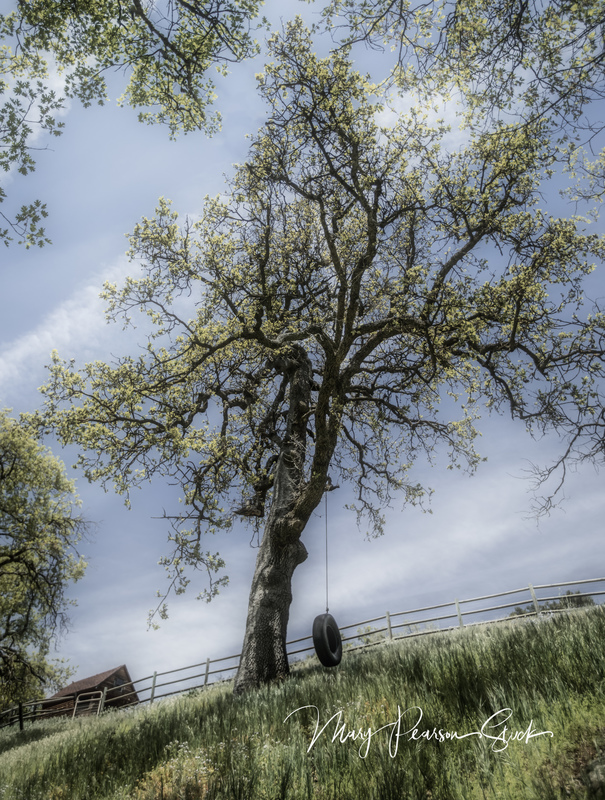 Childhood Dreams Tehachapi California USA  MPS-SJV-2018(1).jpg