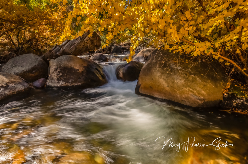 Falls Gold Rock Creek Eastern Sierra Nevada California USA  MPS-ESN-1005(1).jpg