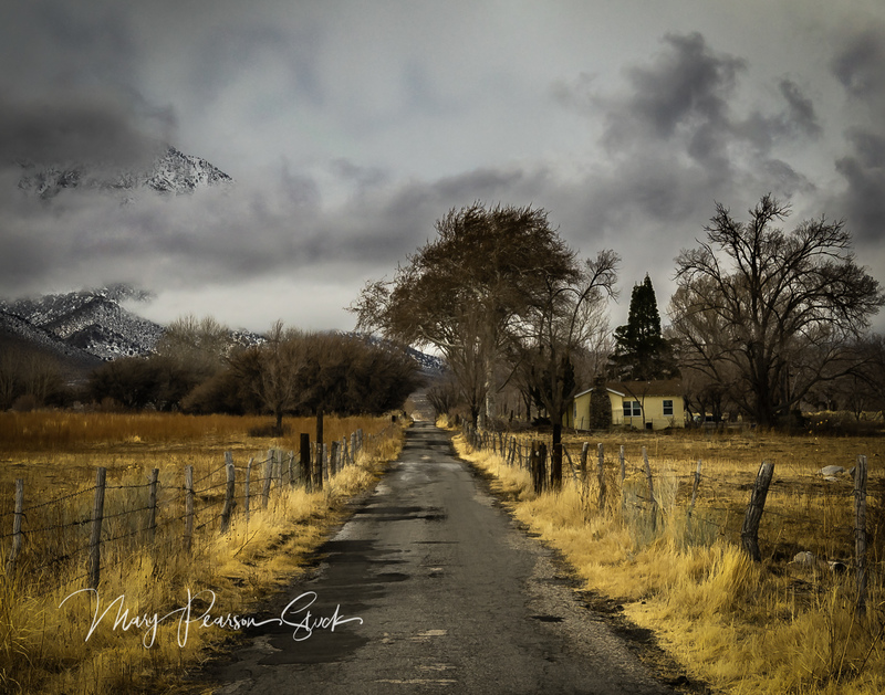 Homestead Eastern Sierra Nevada California USA  MPS-ESN-1011.jpg