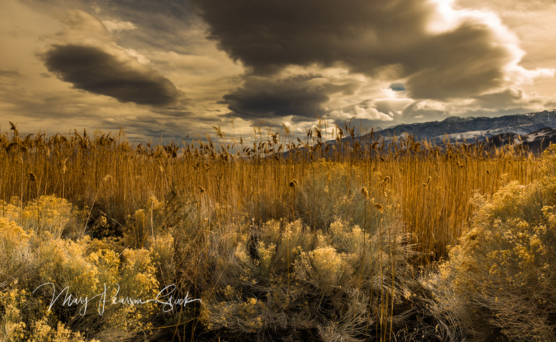 Incoming Eastern Sierra Nevada California USA  MPS-ESN-1016(1).jpg