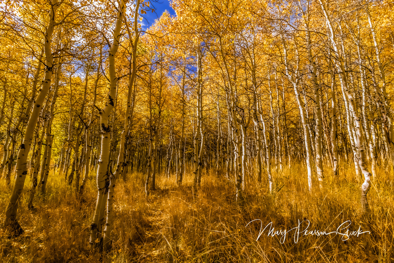 Invitation to Wander Eastern Sierra Nevada California USA  MPS-ESN-1006(1).jpg