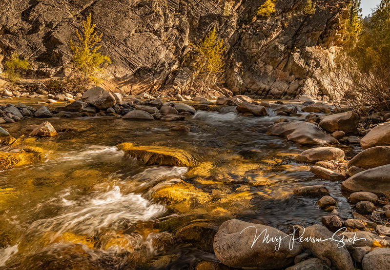Walker River Walker River Canyon Eastern Sierra Nevada California USA  MPS-ESN-1007(1).jpg