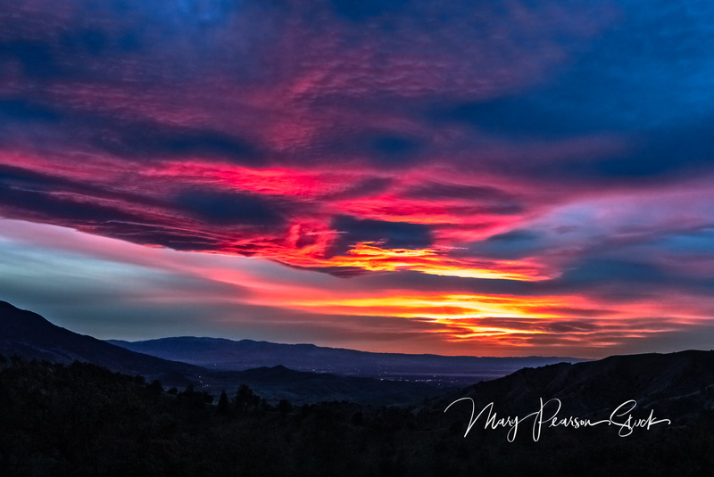 Winters Solstice Caliente California USA  MPS-SJV-1017(1).jpg