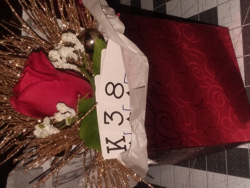 Viva Retirement rose 21.jpg