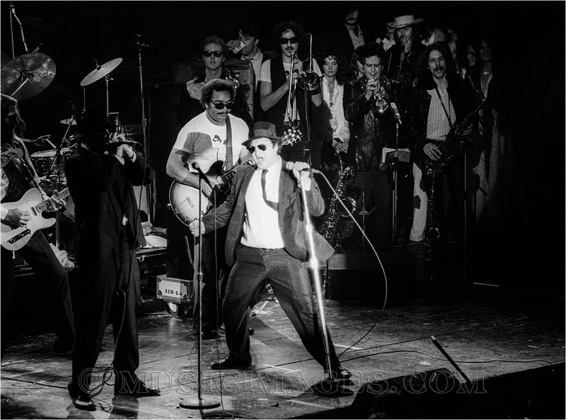 B475-20.jpg :: Winterland, San Francisco 12/31/78