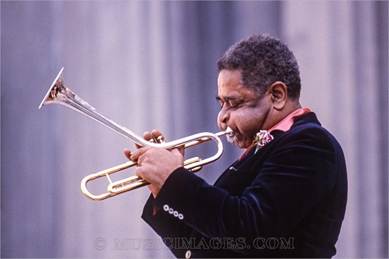 C194-15.jpg :: Greek Theater, Berkeley, Ca. - May, 1979