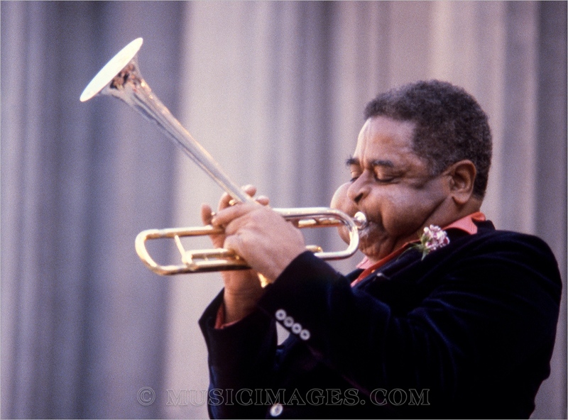 C194-34.jpg :: Greek Theater, Berkeley, Ca. - May, 1979