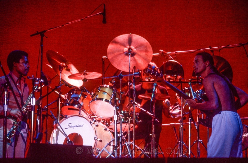 C195-24.jpg :: Greek Theater, Berkeley, Ca. - May, 1979